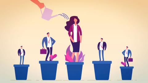 Human Potential and Team Leadership